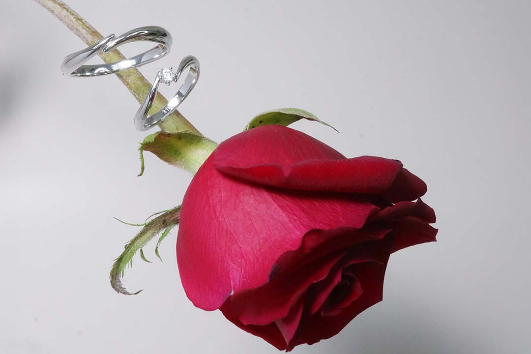 心弦 弧線交錯戒指|Miestilo Jewelry設計師輕珠寶品牌|舒飾質感每一刻