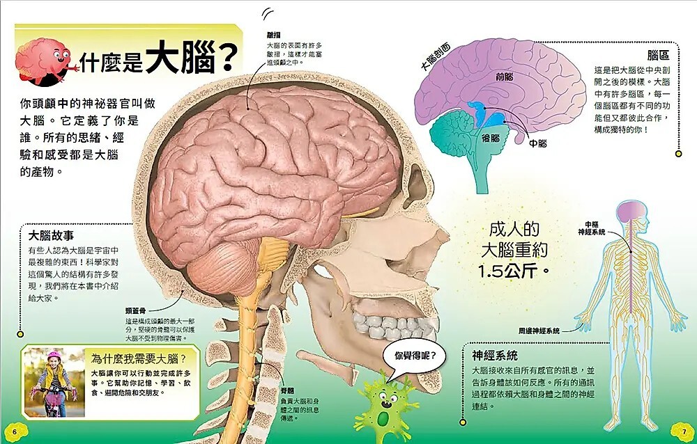 哇，原來頭腦這麼厲害！：進入記憶、感官與心智的神奇世界