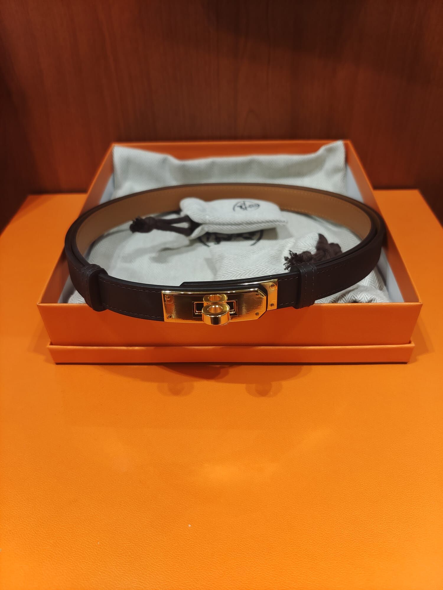 Kelly belt Macassar cc odyssee