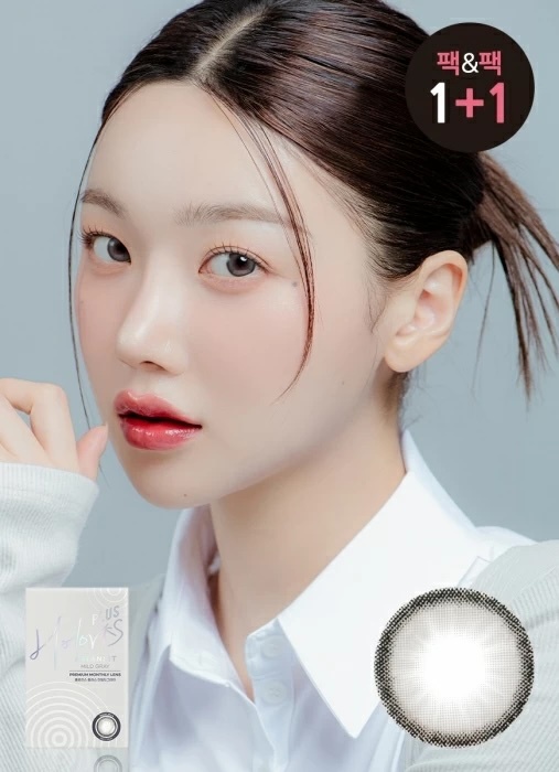 LensMe Holoris Monthly (Mild Gray)