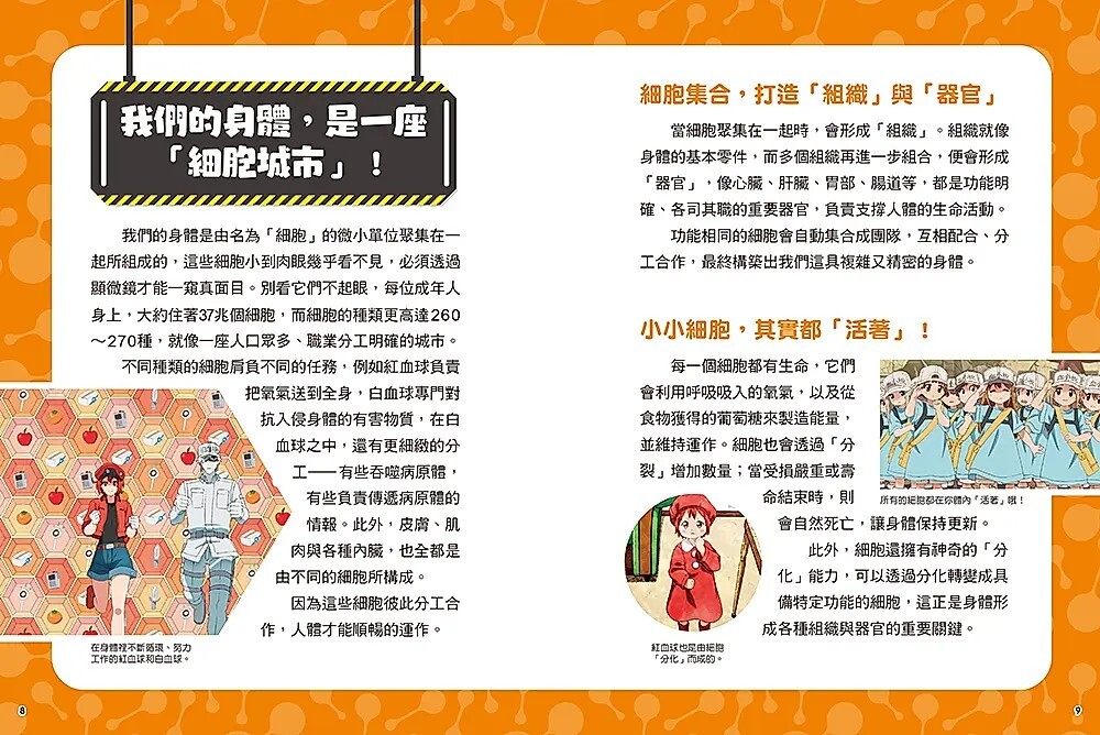 工作細胞圖鑑：不可思議的人體細胞