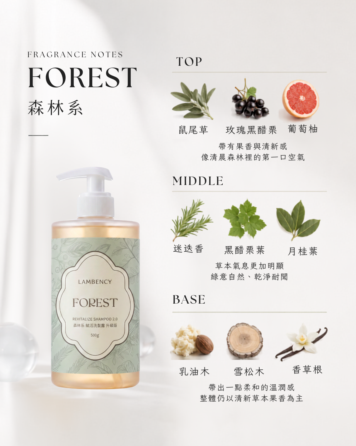 LAMBENCY 森林系洗髮露以葡萄柚、鼠尾草、迷迭香與雪松木打造清新草本木質香氣，適合喜歡森林木質調香氛洗髮露的人。