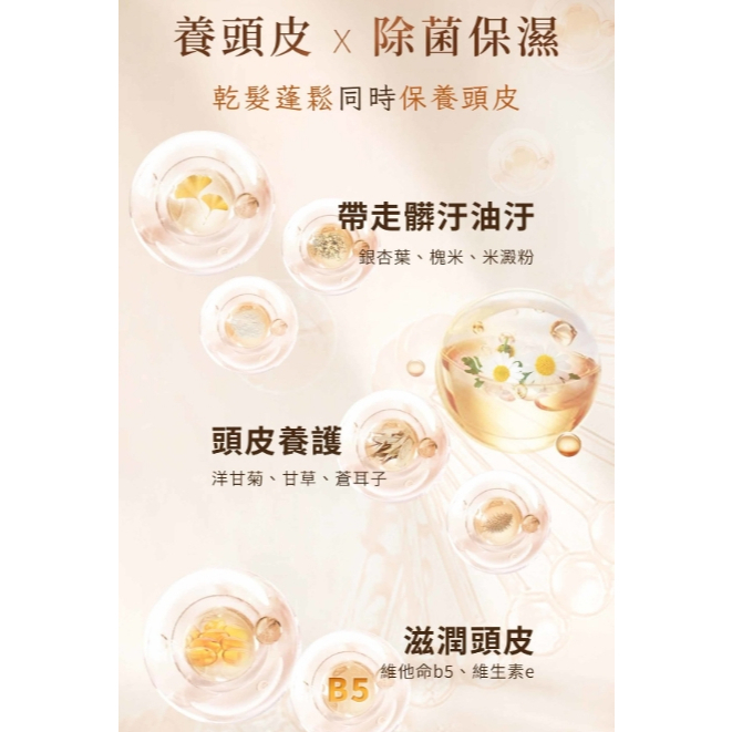 台灣THE VITA空氣蓬鬆乾洗髮150ml（T268 TW363）