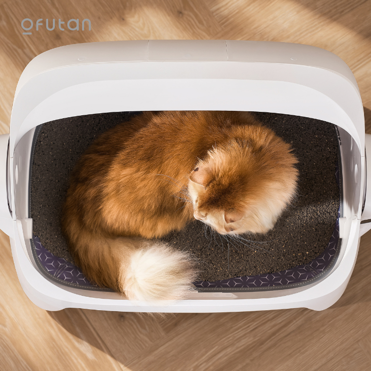 Ofutan Open-Top Automatic Cat Litter Box with App Control
