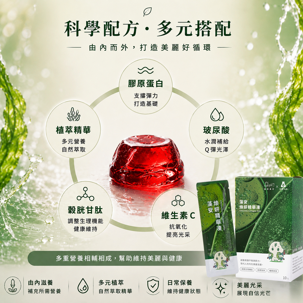 藻安煥妍精華凍(10包/盒)
