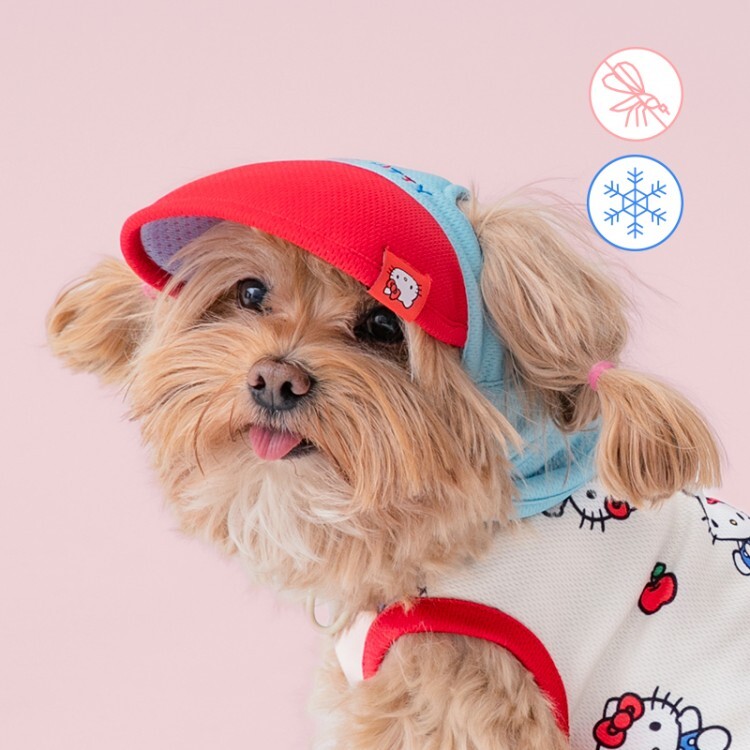 🇰🇷 BITE ME X SANRIO Bug-shield Cool Sun Cap 寵物防蟲涼感遮陽帽 降溫 驅蚊 三麗鷗 聯名 大眼蛙 HELLO KITTY 帕恰狗 / 預購