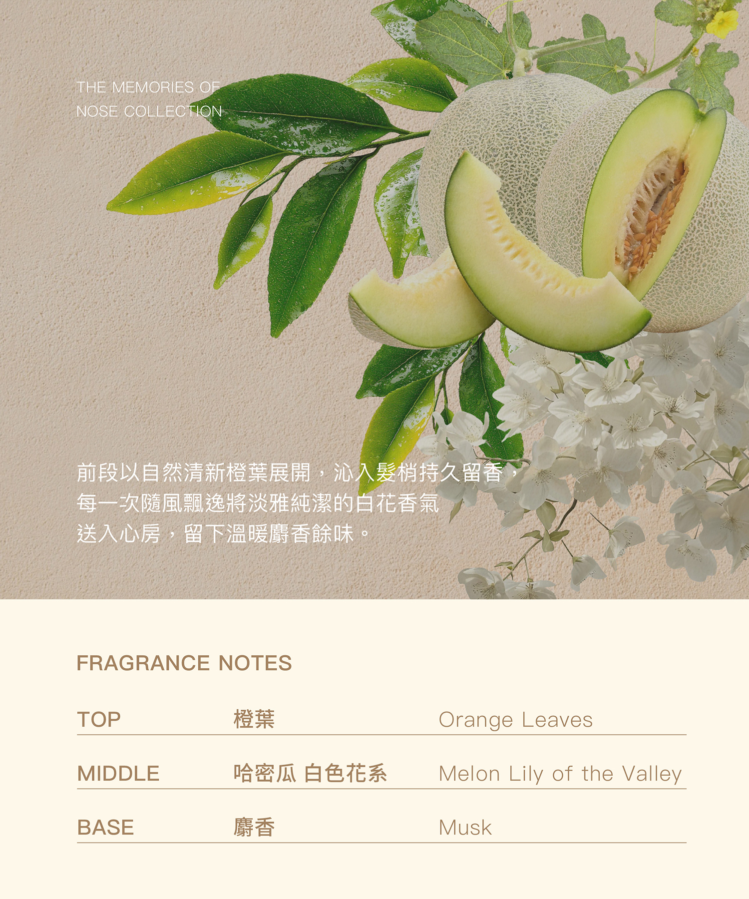 清新自然的甜花系迷人髮香 一瓶給妳巨星般出場的香水髮品,根根潔淨、絲絲散香,清新橙葉搭配甜潤哈密瓜、細膩鈴蘭,洗後髮絲保有蓬鬆女神香,開啟美好一天就從睡醒髮香開始。