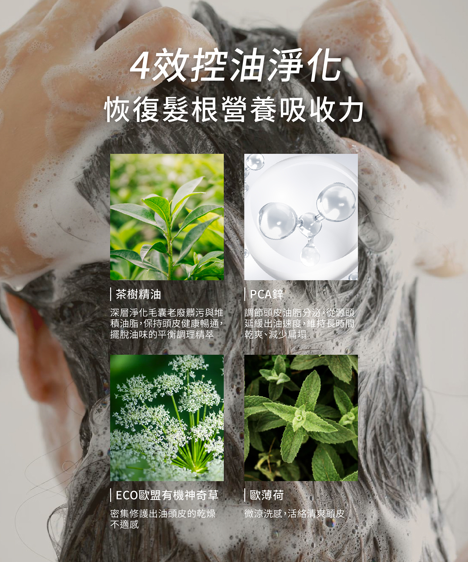恢復髮根營養吸收的4效淨化成分 放任出油加速頭皮老化,富含茶樹精油、有效控油因子PCA鋅升級配方等,調理頭皮生態平衡,柔軟蓬鬆一瓶見效。