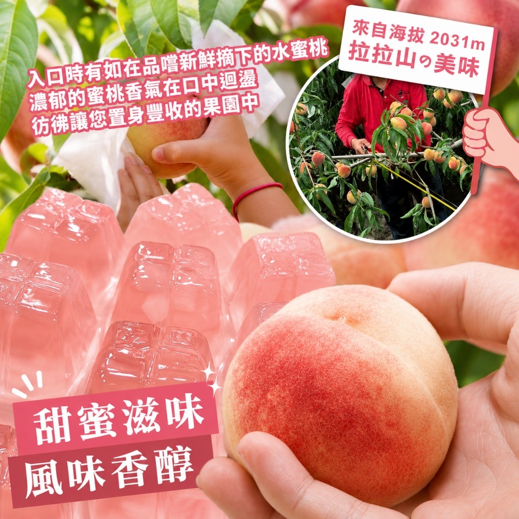 WSBB11255  拉拉山限定水蜜桃果凍600g（9月底）