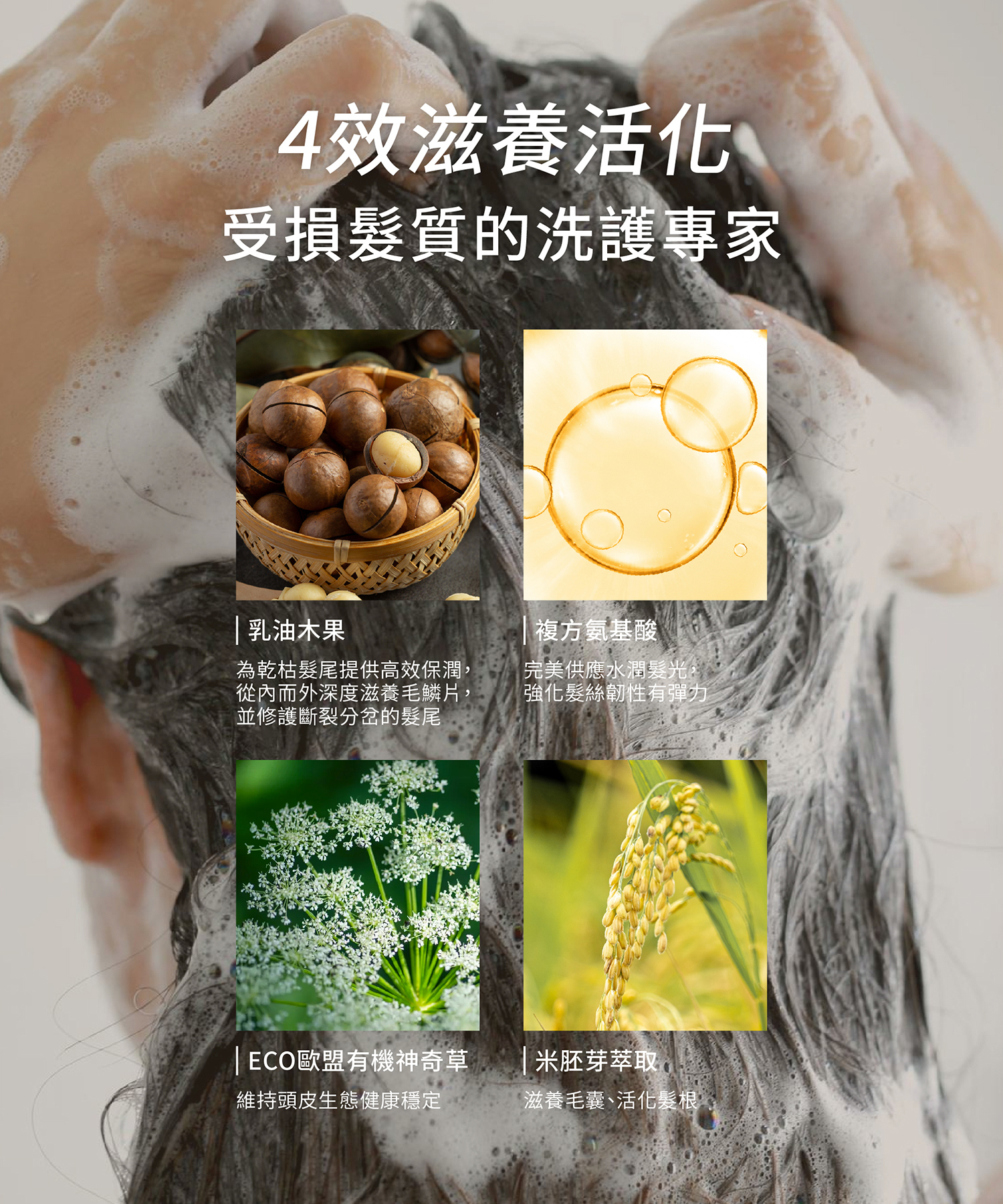 頭皮護理終結毛躁髮的4效滋養成分 奢華珍稀的滋養油脂─乳油木果脂,能像精華液般精準滲透受損的髮絲空隙,洗後立刻撫平毛躁,讓原本乾枯的稻草髮重新找回充滿光澤的健康彈性。