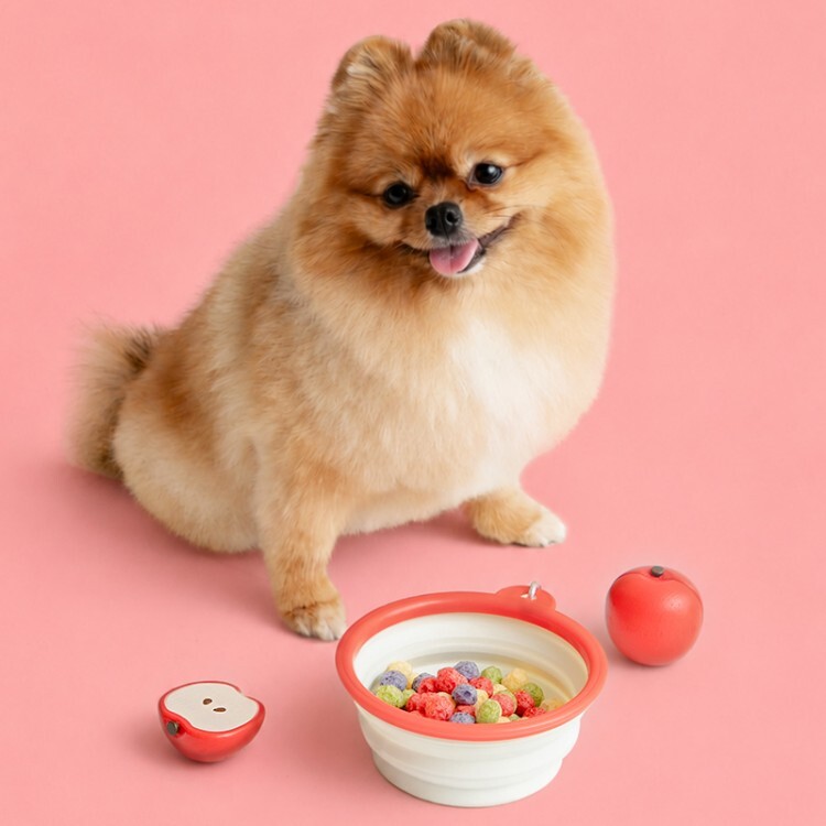 🇰🇷 BITE ME X SANRIO Pet Bowl 折疊寵物碗 三麗鷗 聯名 HELLO KITTY / 預購