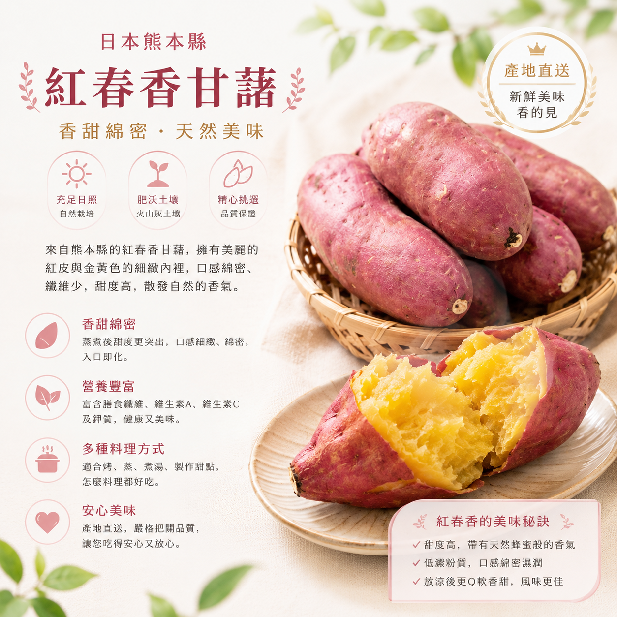 日本熊本縣紅春香蕃薯(500G)-每包