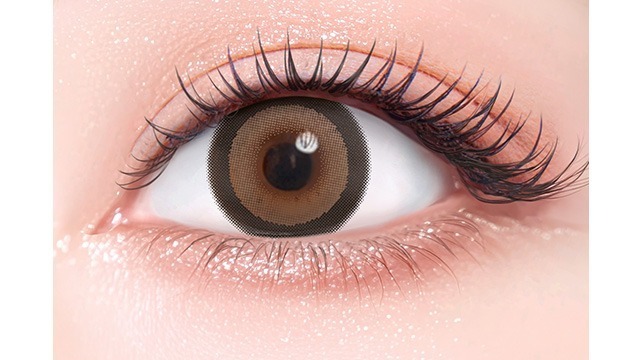 [散光] Flurry 1 Day Toric Ring Dark Brown｜日拋散光彩妝隱形眼鏡｜每盒10片