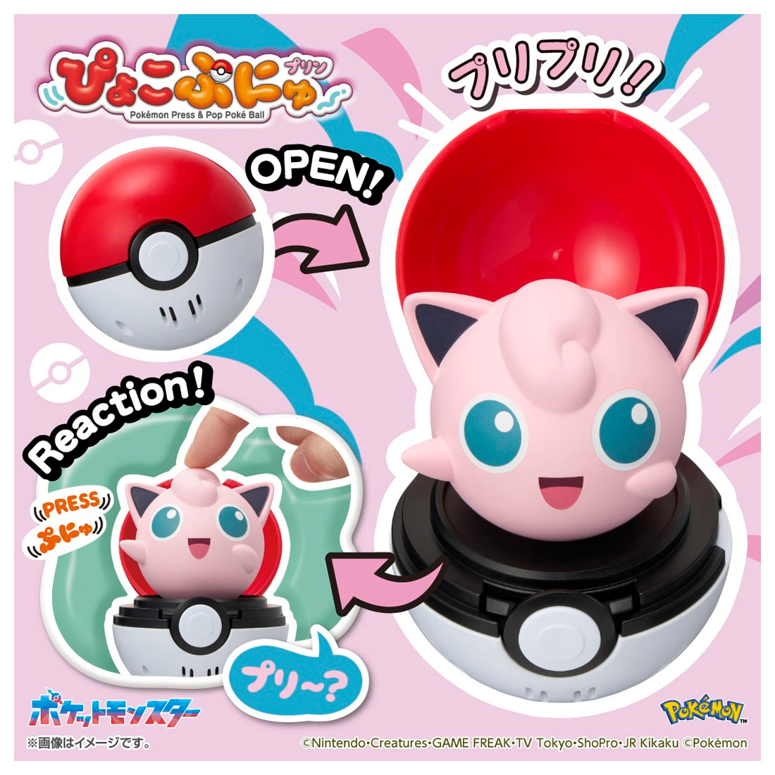 Takara Tomy Pokémon Pyokopunyu 圓滾滾胖丁
