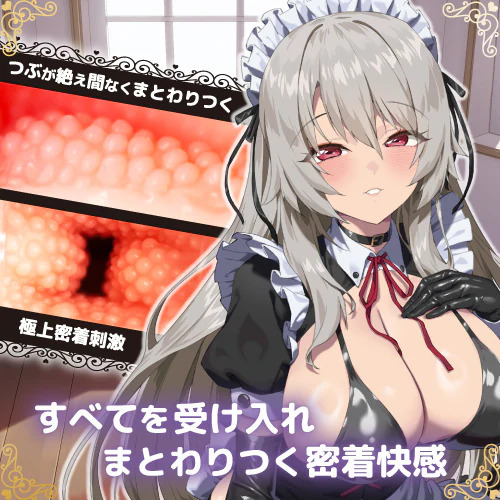 ToysHeart 絕對服從命令的淫蕩女僕 動漫飛機膠