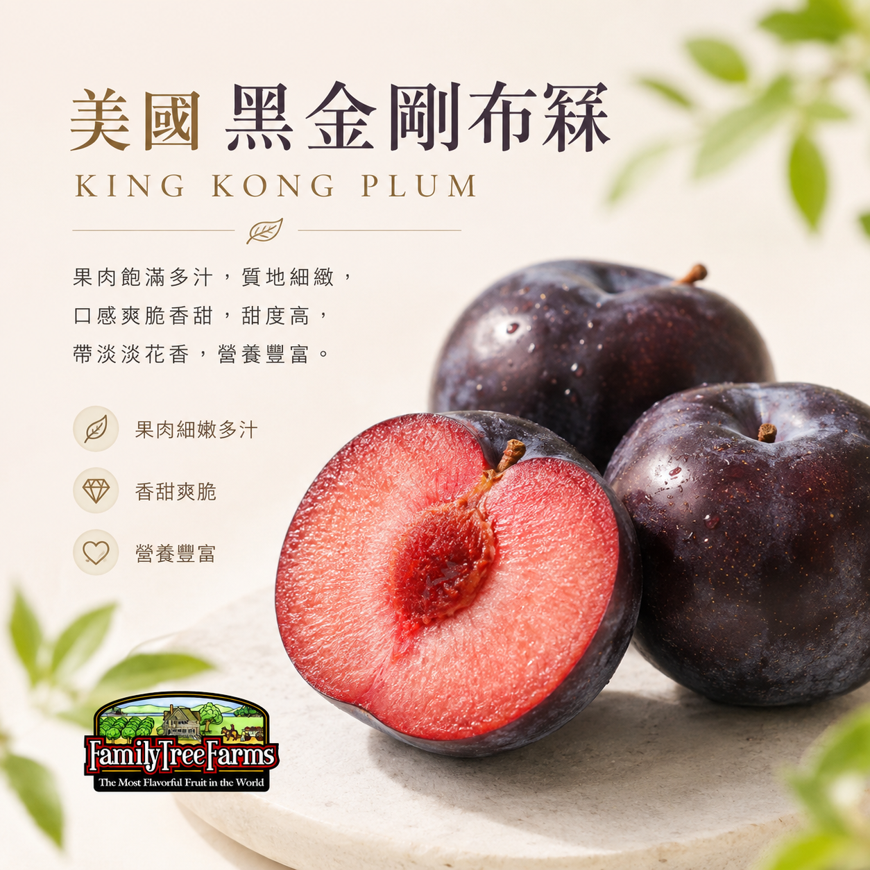 美國黑金剛布冧(4個)-1包