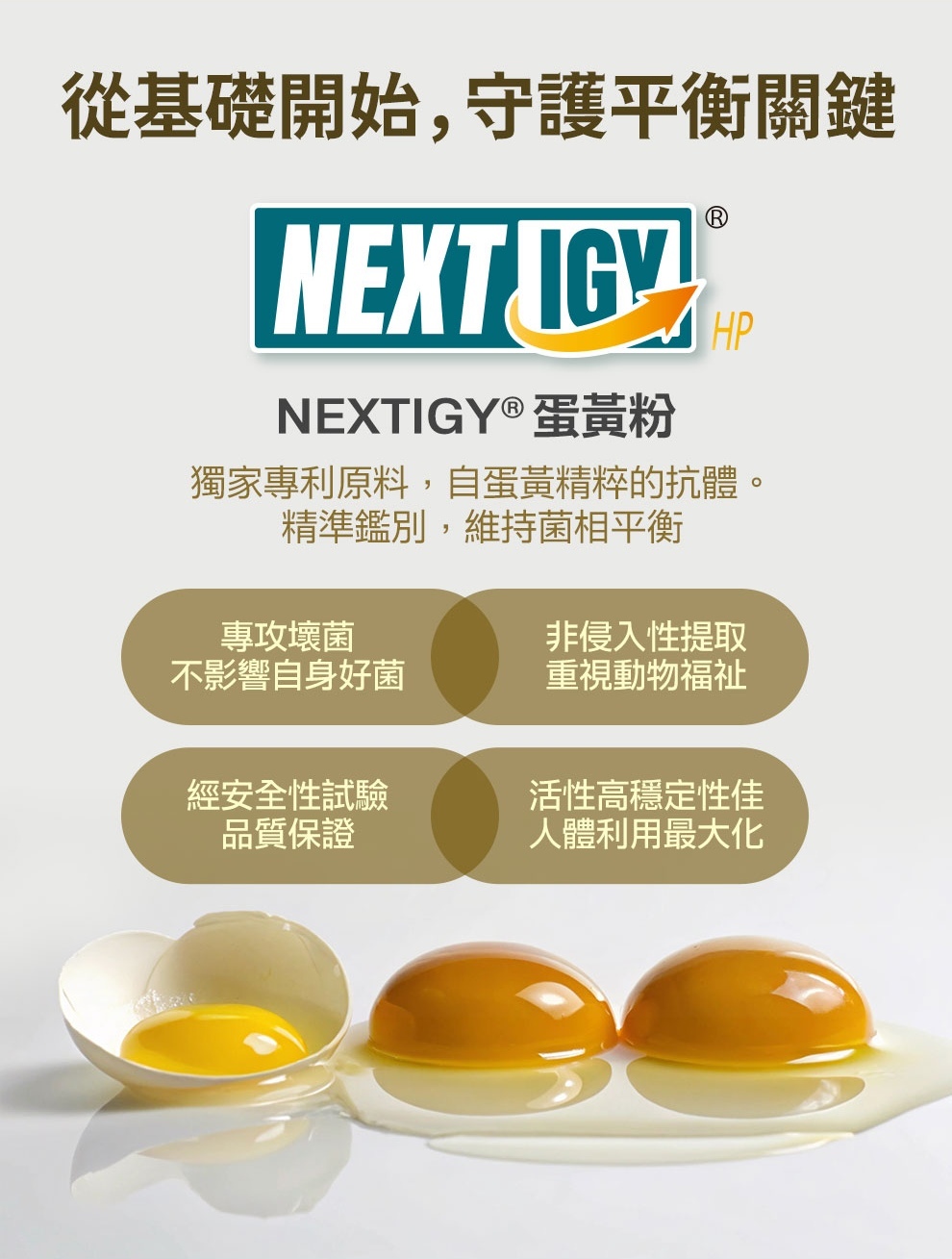 捍速適有添加Next IgY,幫助好菌自然生長,有效平衡腸道菌相