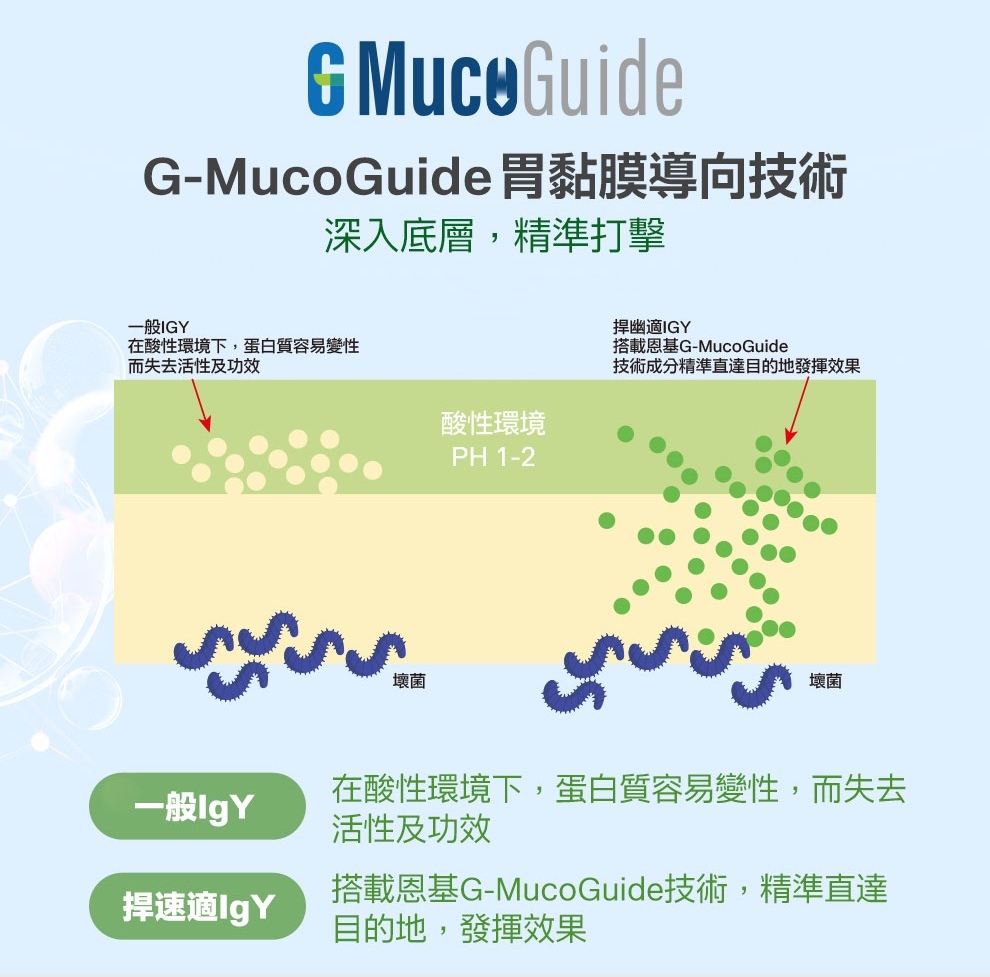 恩基生醫獨家專利GMucoguide，保護Next IgY蛋黃粉活性，以及將營養送到胃部確保吸收力