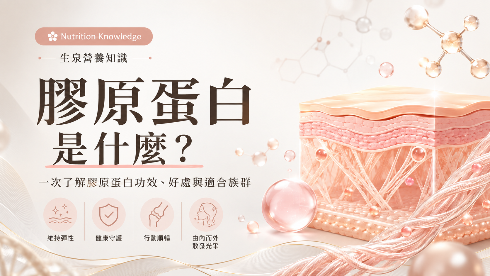 膠原蛋白是什麼