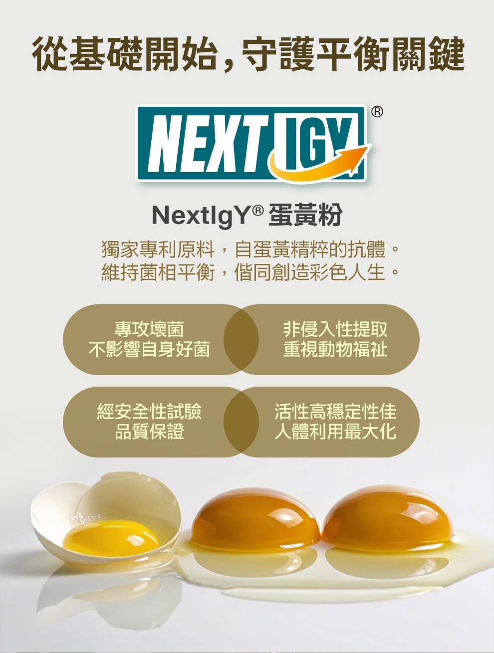 甘御守有添加Next IgY，幫助好菌自然生長，有效平衡腸道菌相