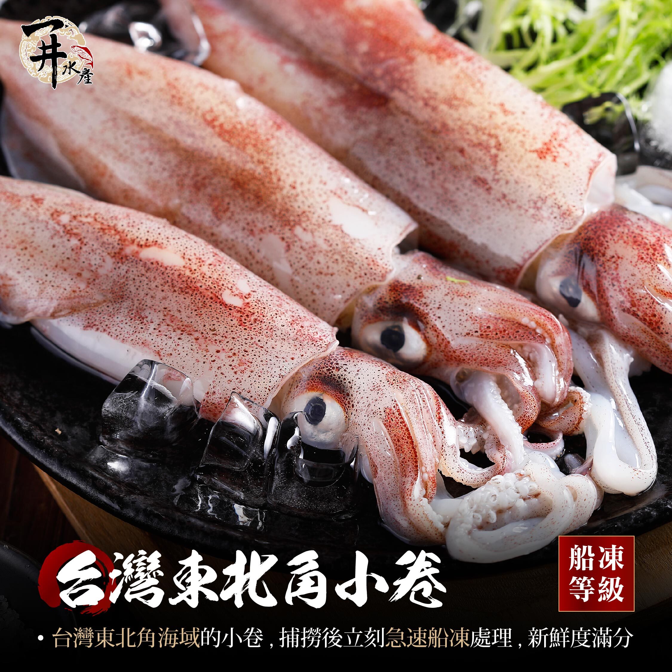 台灣 東北角小卷/咪咪卷