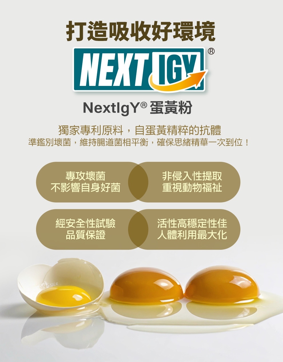 知憶健有添加Next IgY,幫助好菌自然生長,有效平衡腸道菌相