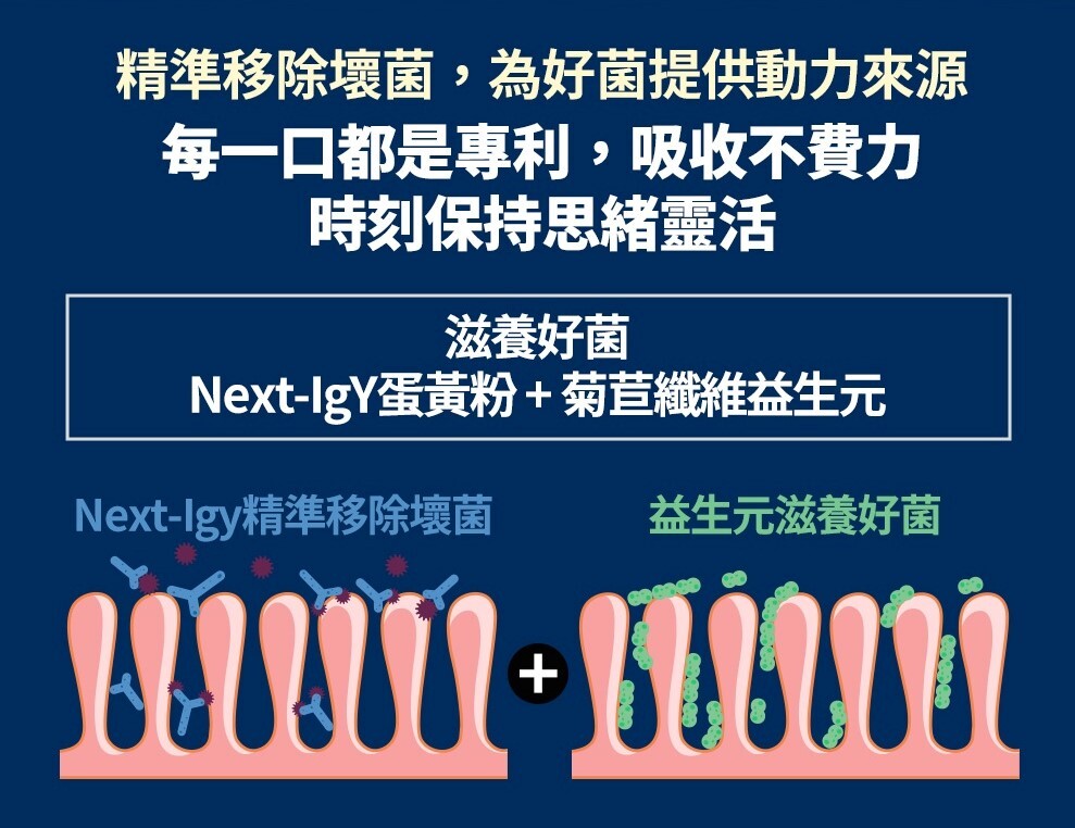 恩基生醫獨家專利技術Next IgY蛋黃粉與菊苣纖維益生元互相搭配,幫助消化道好菌生長,提升知憶健產品營養吸收力