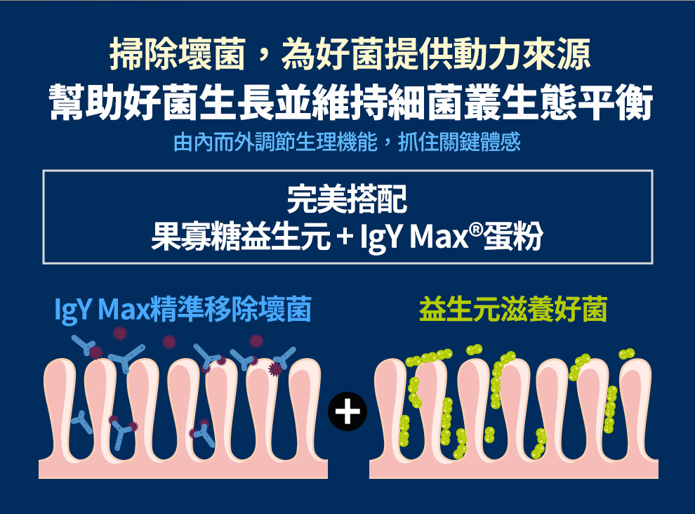 恩基生醫獨家專利技術Next IgY蛋黃粉與菊苣纖維益生元互相搭配，幫助消化道好菌生長，提升悠步健產品營養吸收力