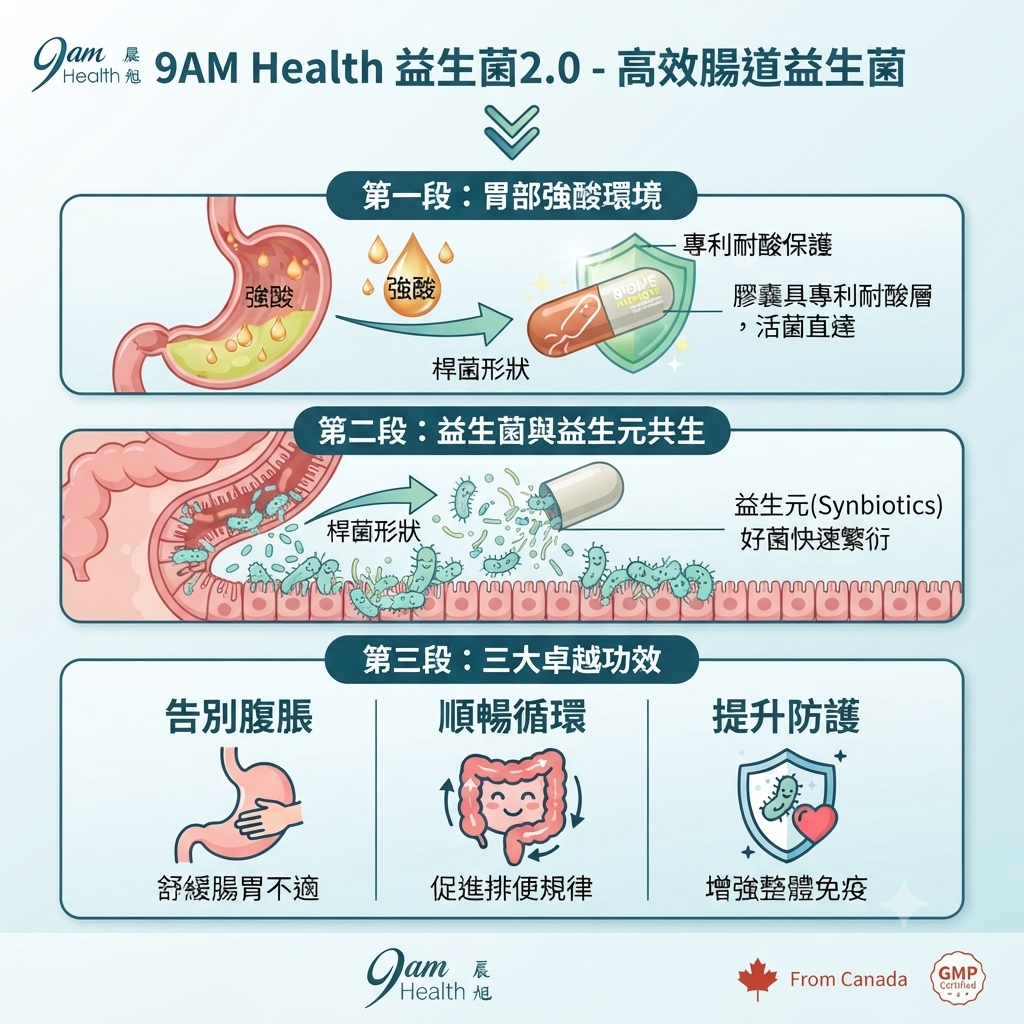 9AM Health 益生菌專利耐酸與益生元共生原理圖