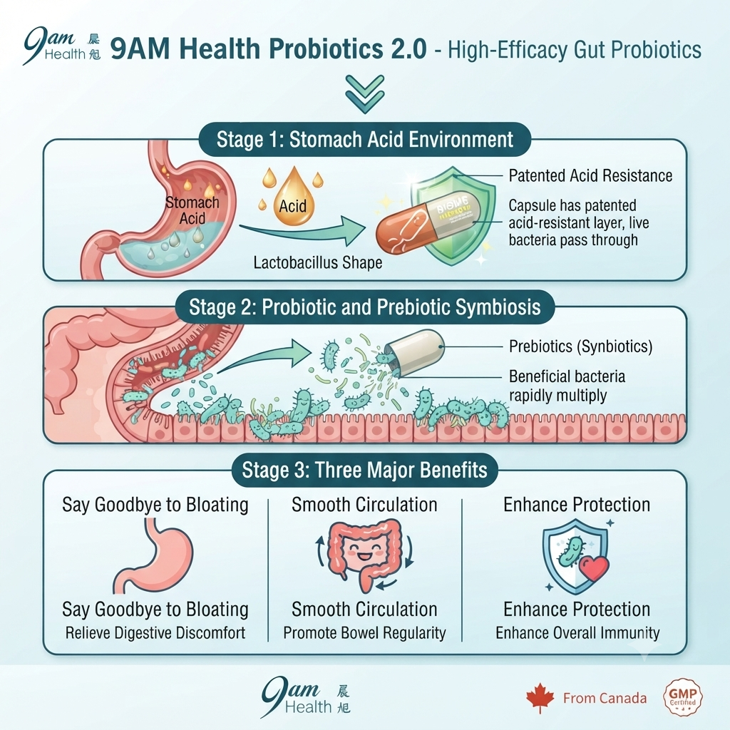9AM Health Probiotics mechanism and prebiotic benefits