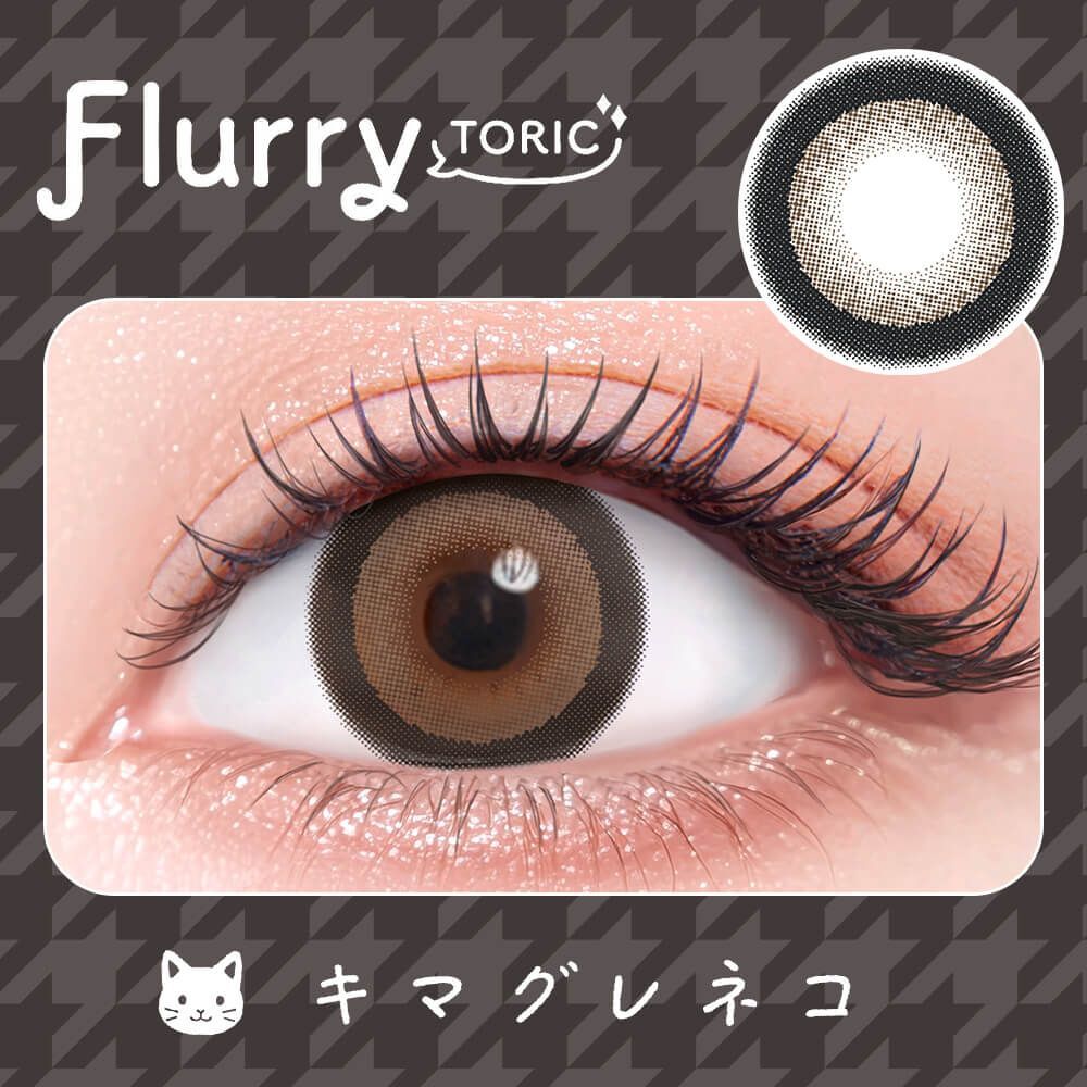 (散光) Flurry 1 day Toric(Ring Dark Brown)(10P)