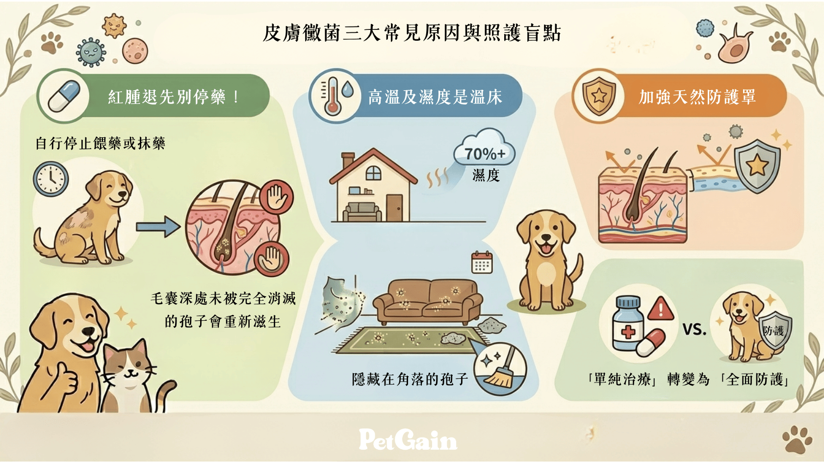 狗狗皮膚黴菌為什麼反覆發作?三大常見原因與照護盲點