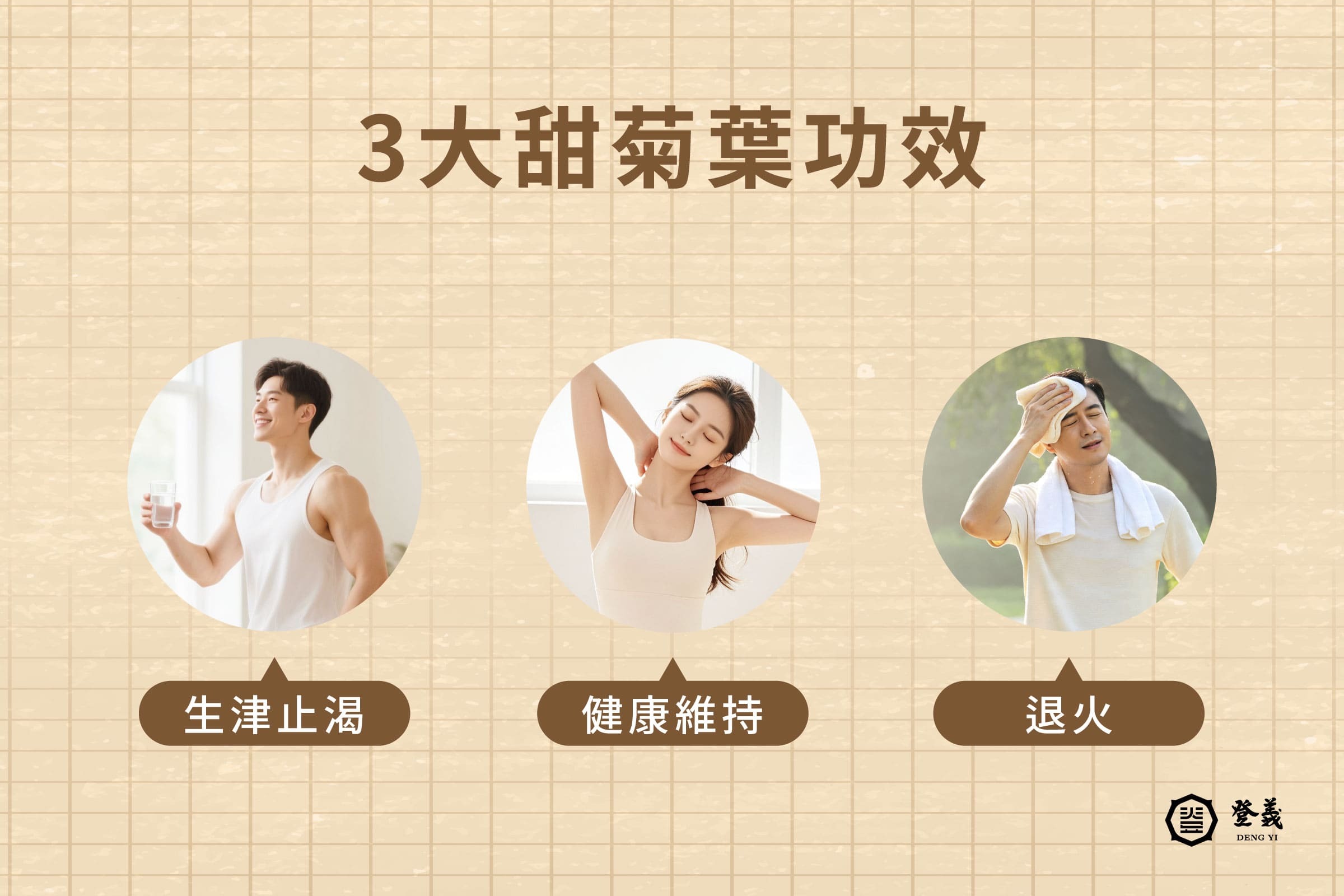 甜菊葉功效有哪些？3 大好處與適用族群介紹