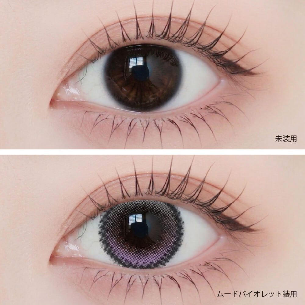 Angelique monthly (Mood Violet) (2P)