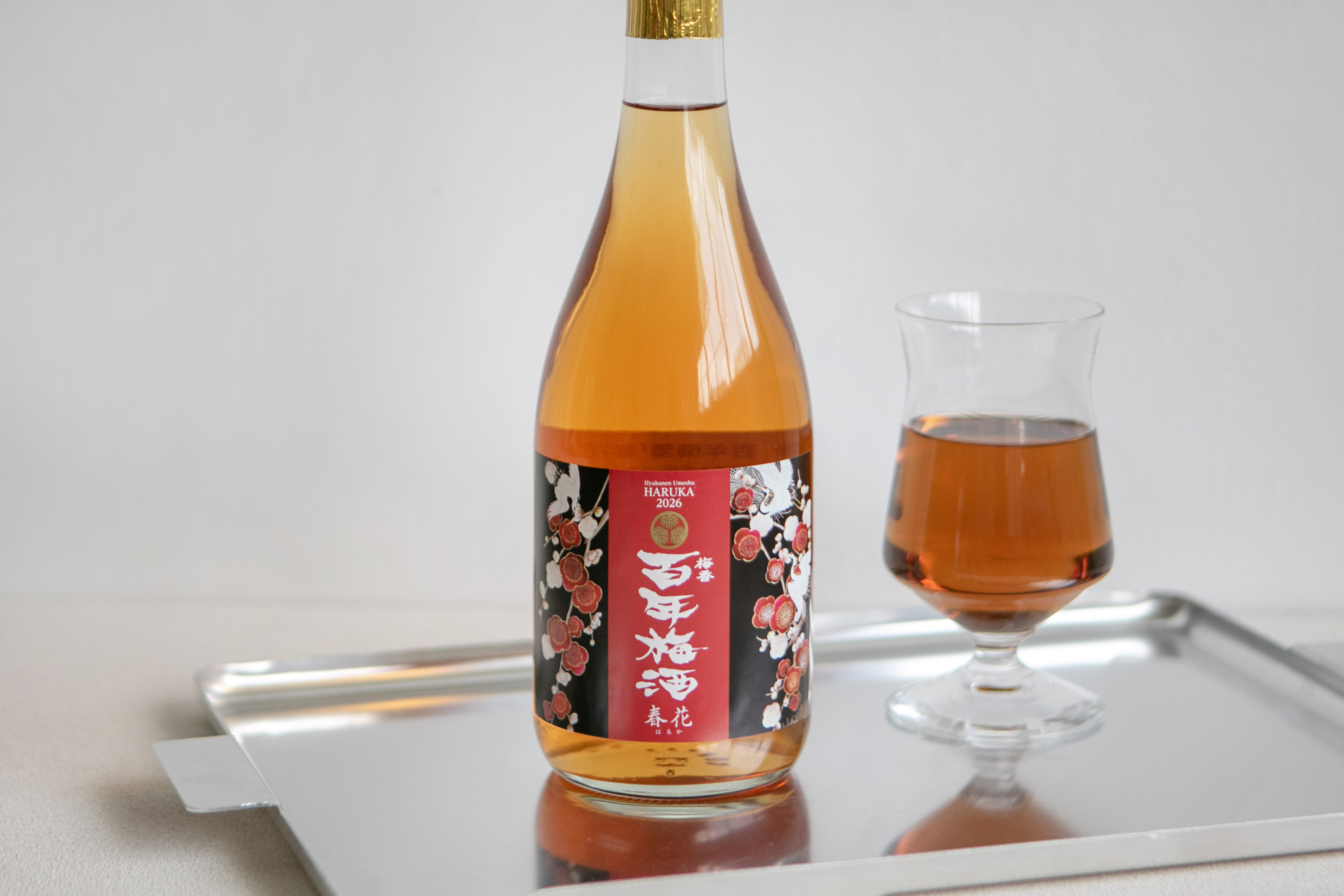 百年梅酒 春花
