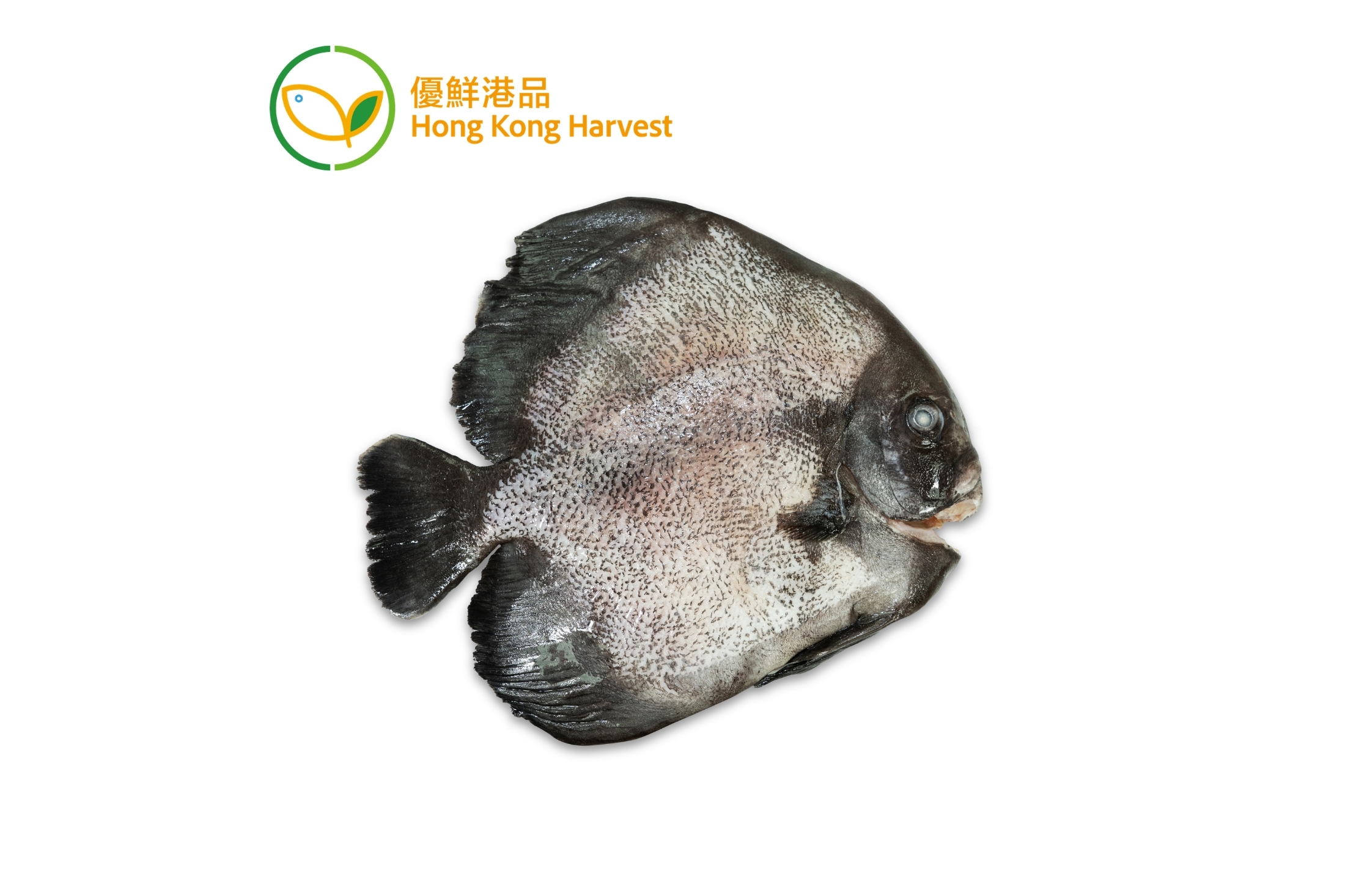 優鮮港品 - 黃綽君魚場 - 本地速凍石䱽魚 700g