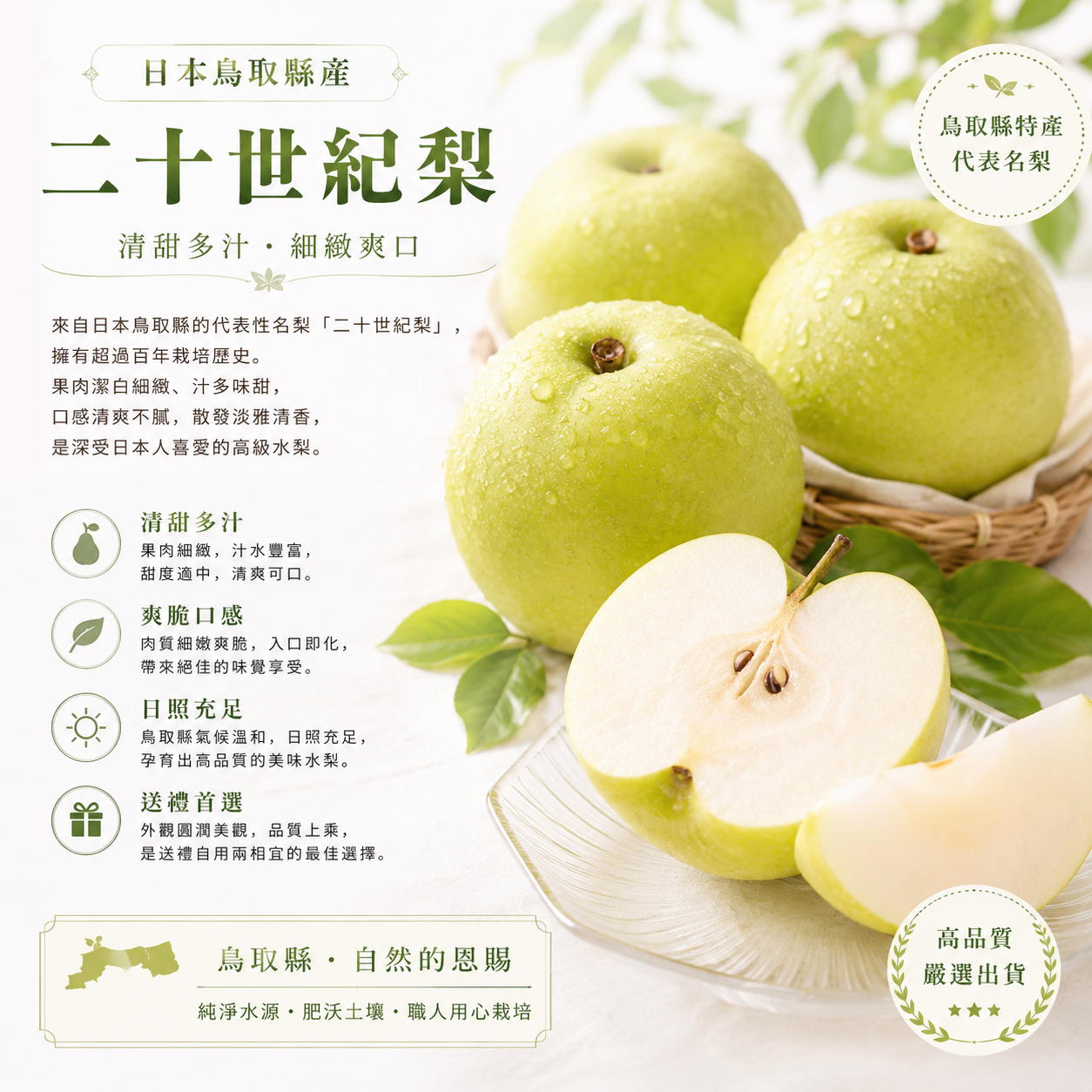 日本鳥取縣二十世紀梨(2個)