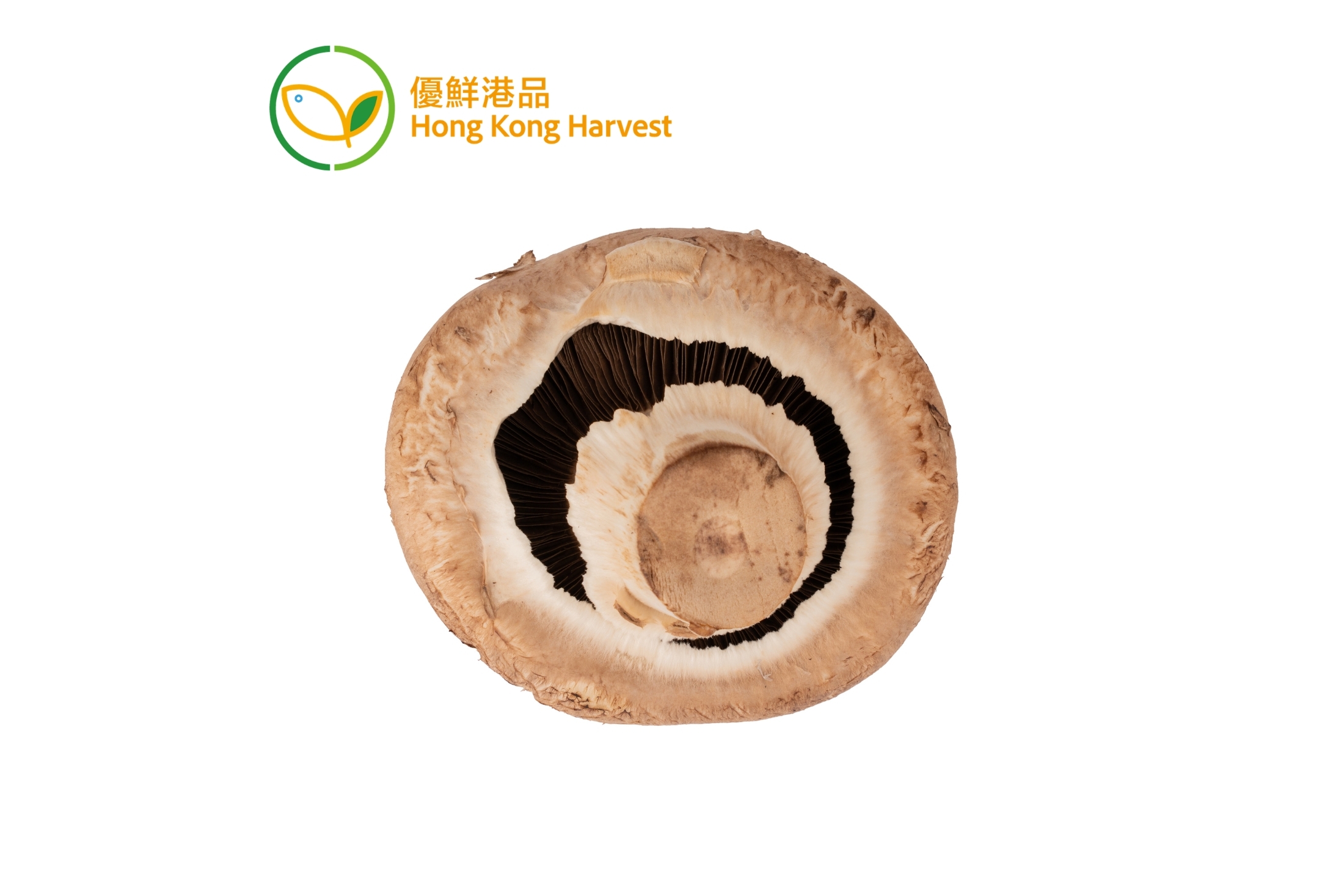 優鮮港品-本地有機珍寶菇 250g