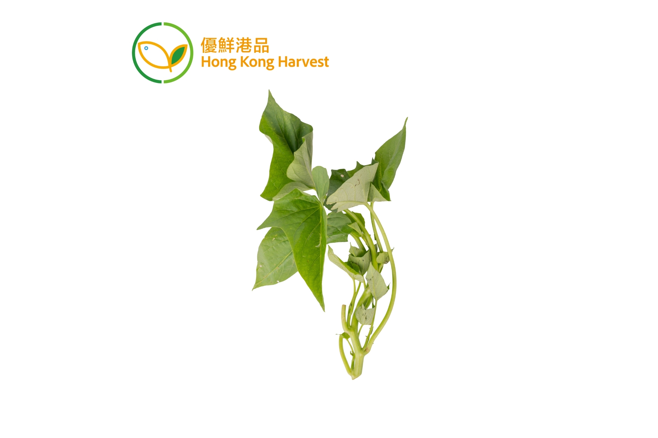 優鮮港品-本地有機蕃薯苗 600g