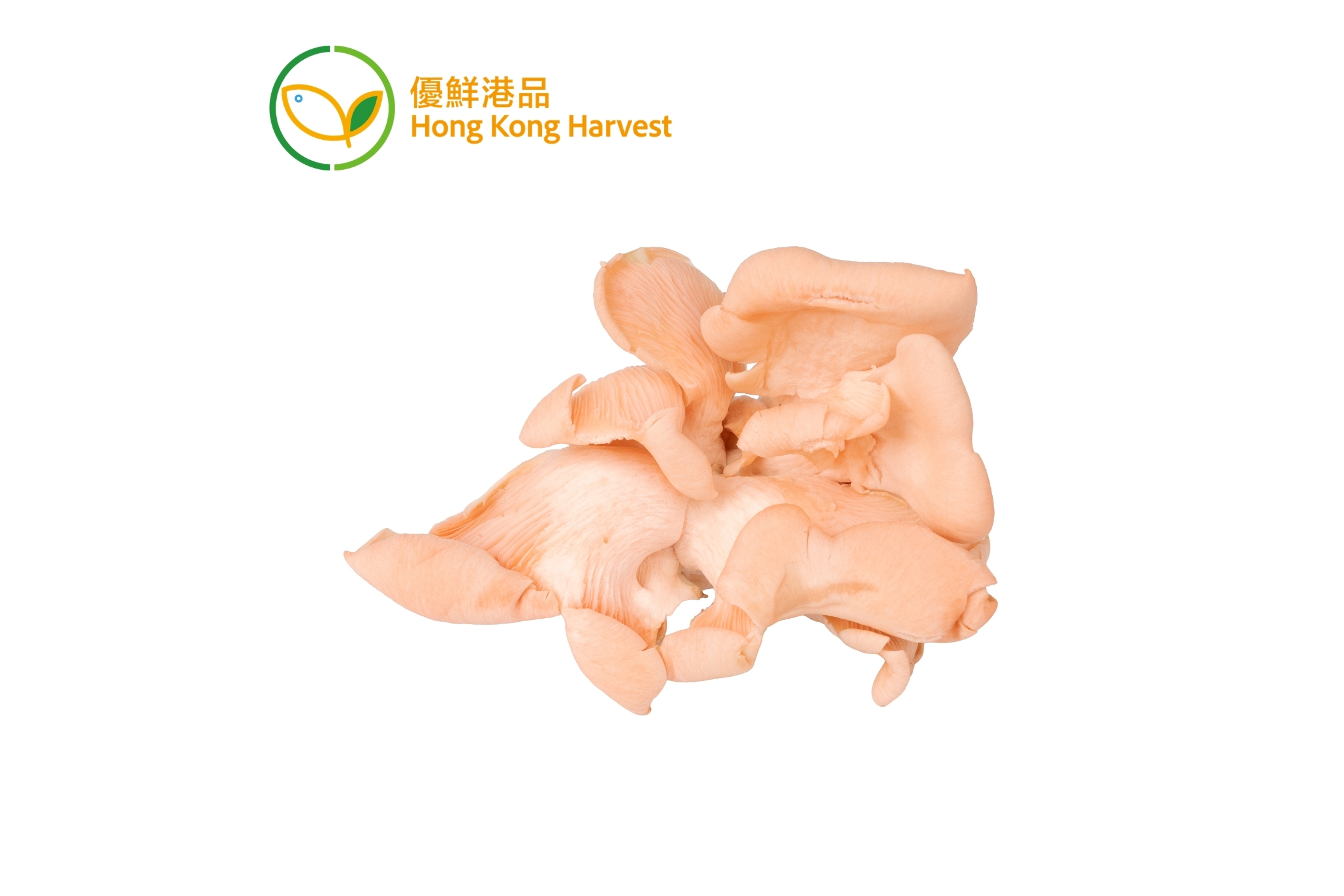 優鮮港品-本地有機紅平菇 150g