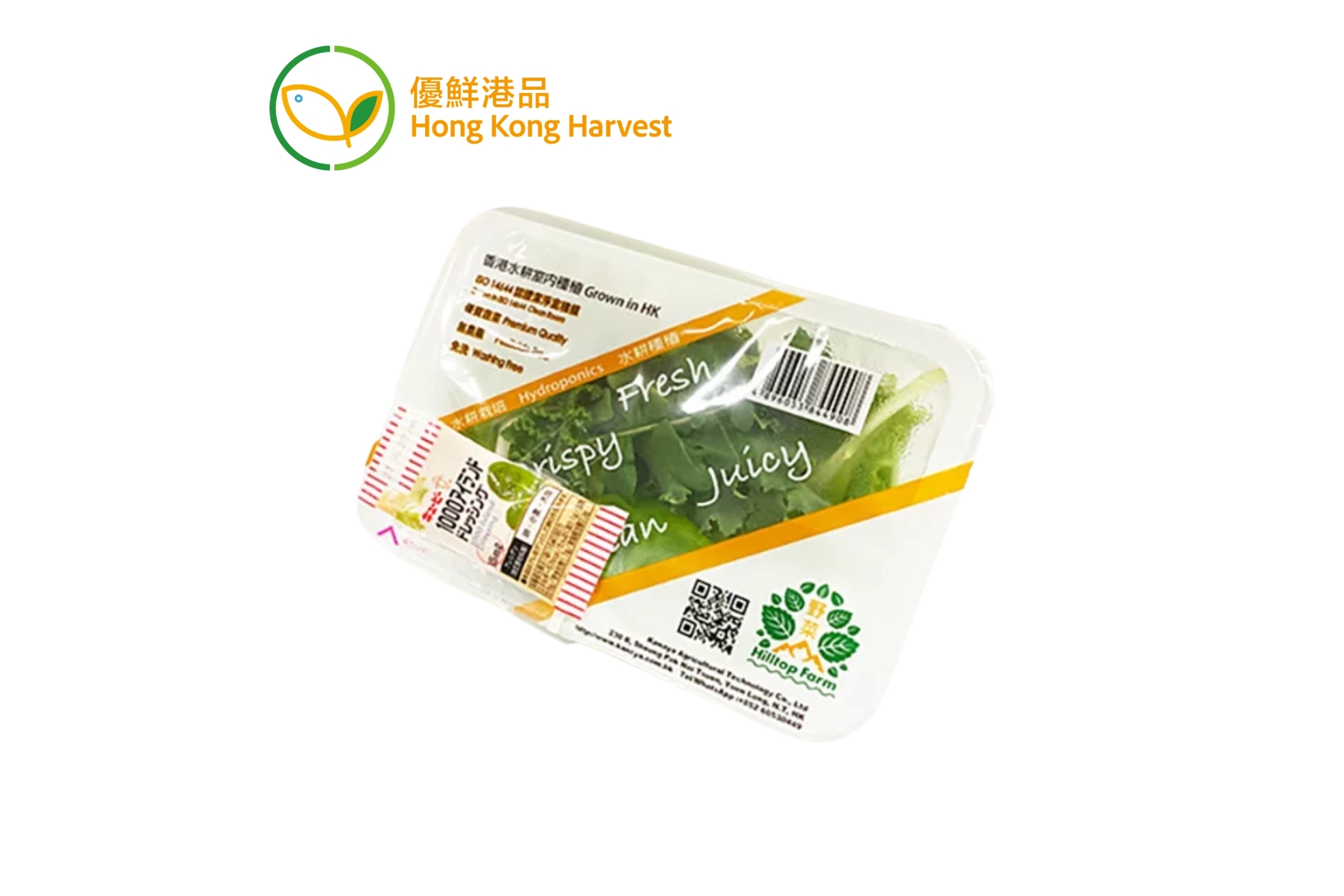 優鮮港品-本地雜菜沙律菜連沙律醬 70g/盒