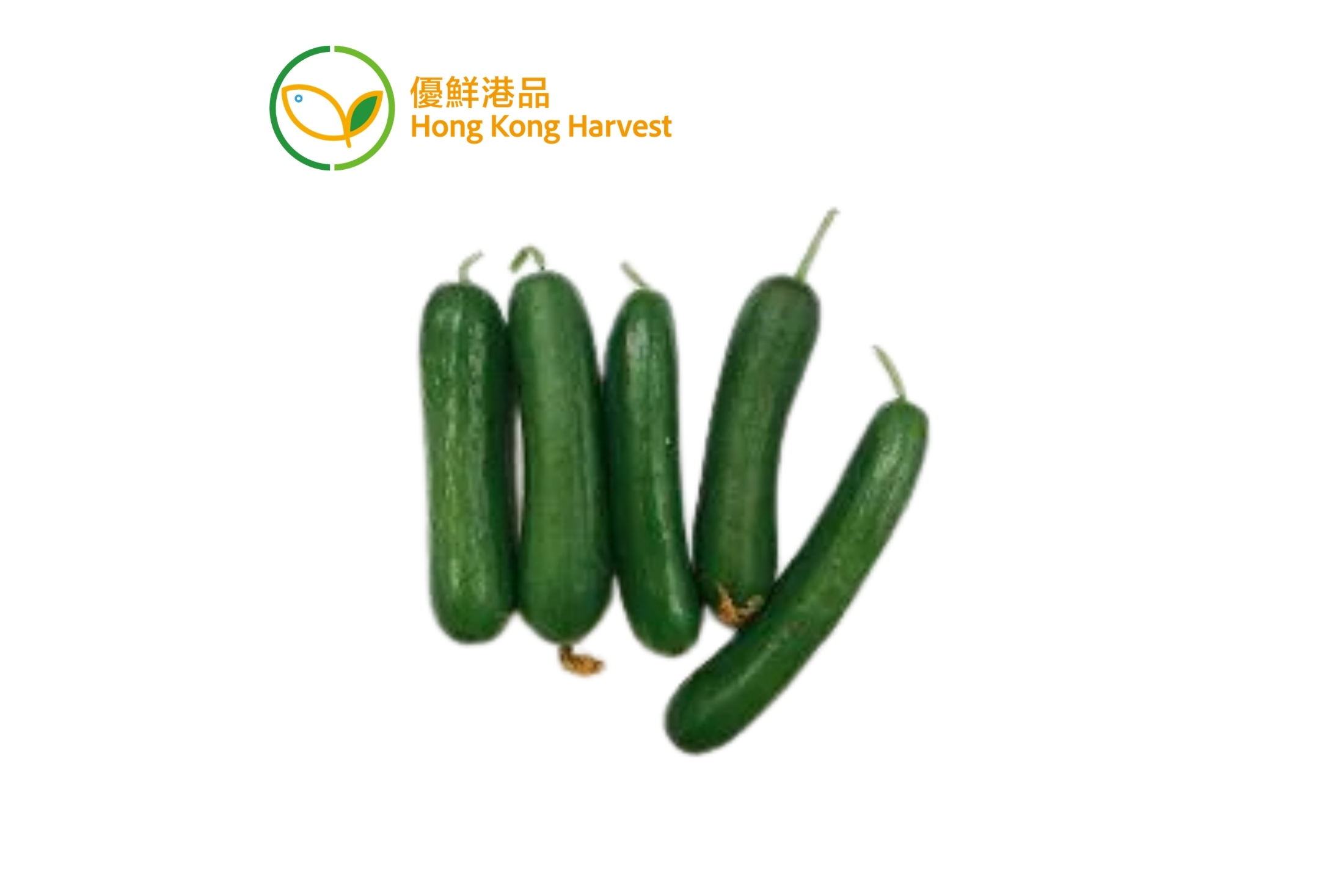 優鮮港品-本地水耕小青瓜 300g/包