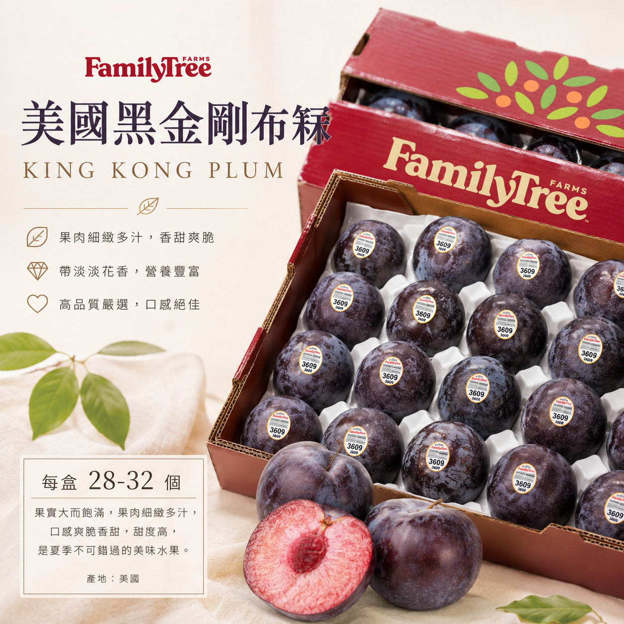 美國黑金剛布冧
