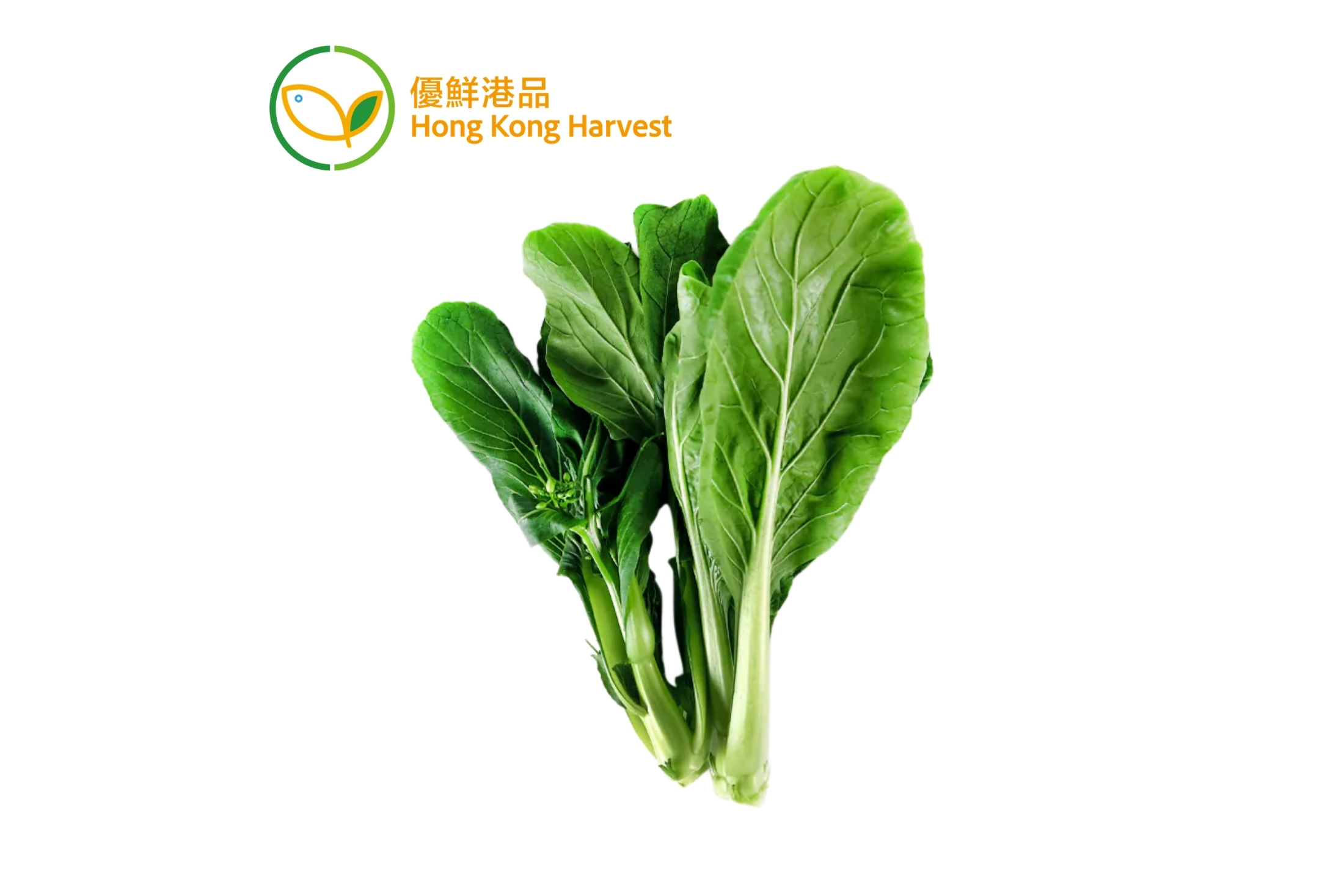 本地水耕菜心 (300g/包)