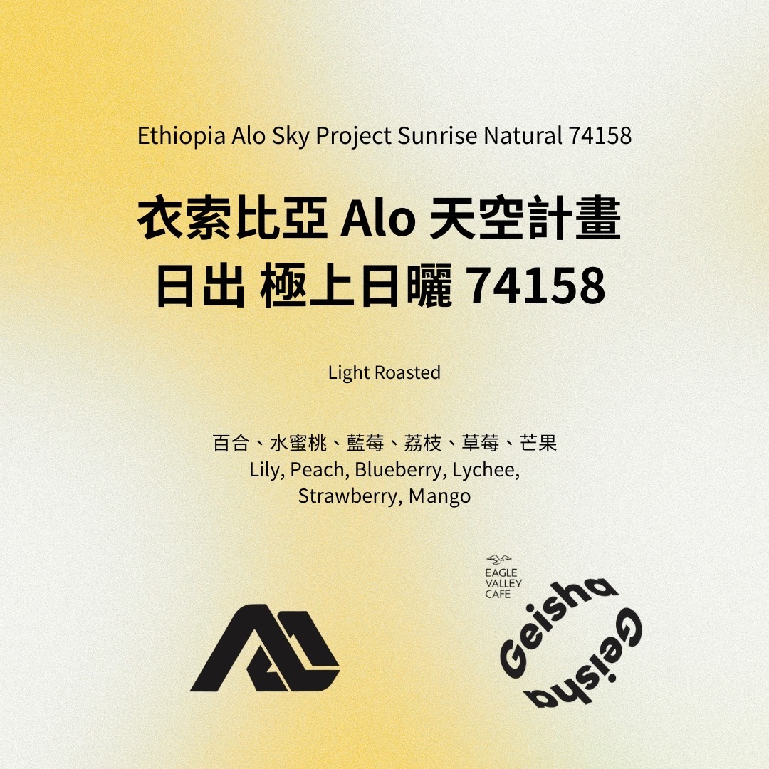 衣索比亞 ALO Tamiru 天空計畫 極上水洗 日曬  74158 淺焙 咖啡豆 2026超級批次