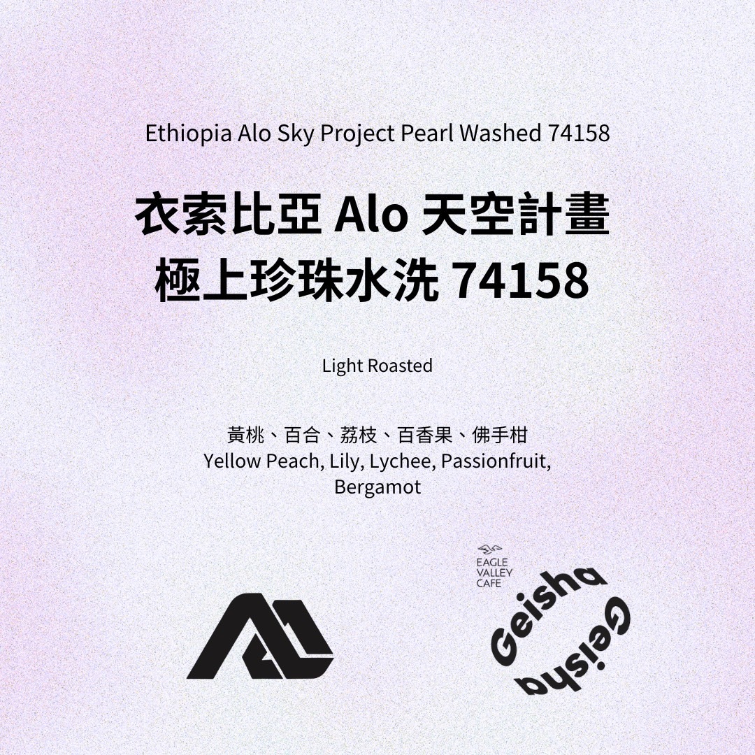 衣索比亞 ALO Tamiru 天空計畫 極上水洗 日曬  74158 淺焙 咖啡豆 2026超級批次