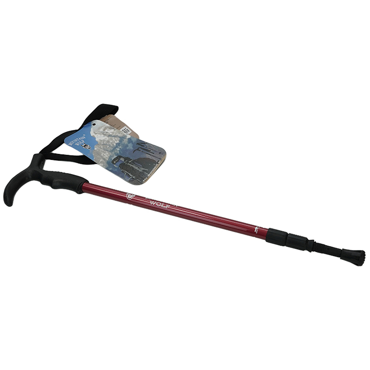 TC-102 - Hiking Poles