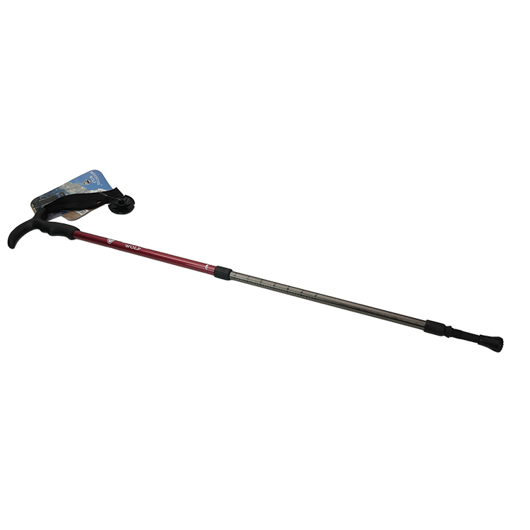 TC-102 - Hiking Poles