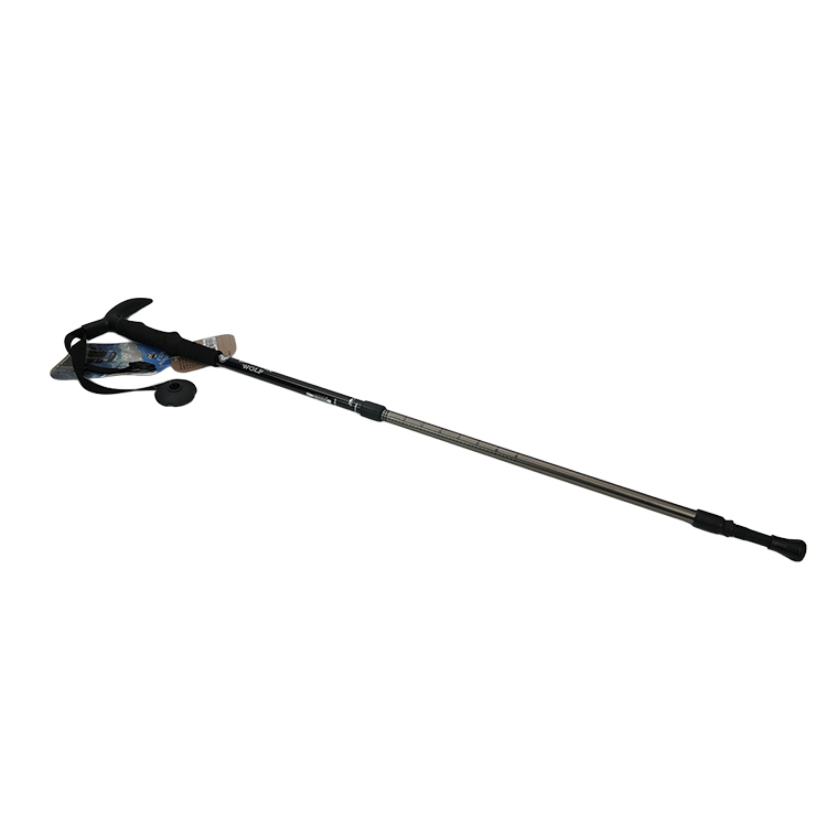 TC-106 - Hiking Poles