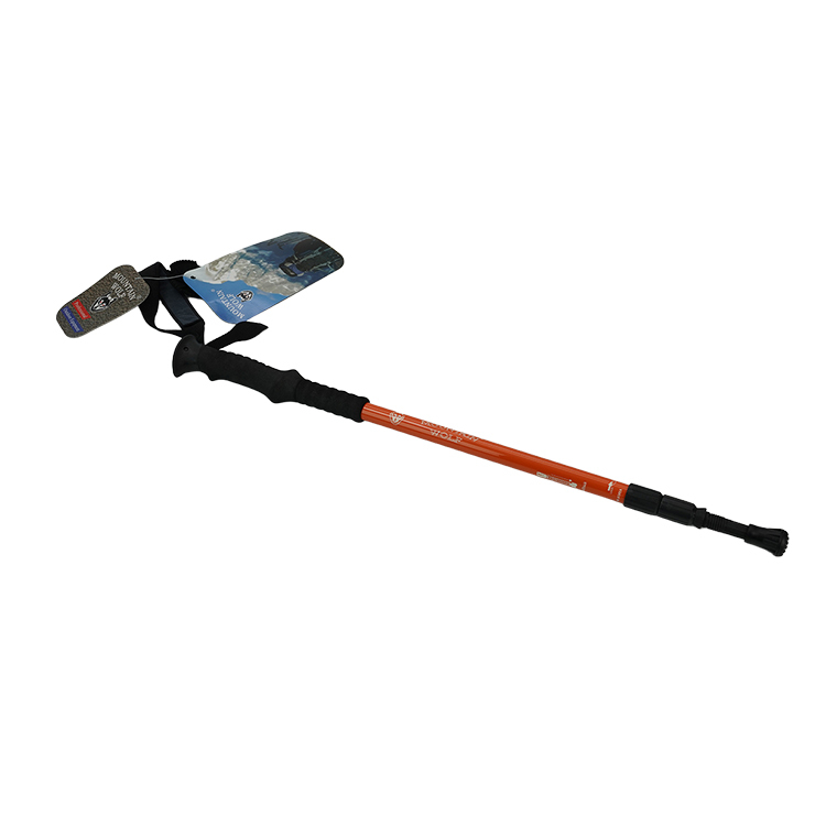 TC-107 - Hiking Poles